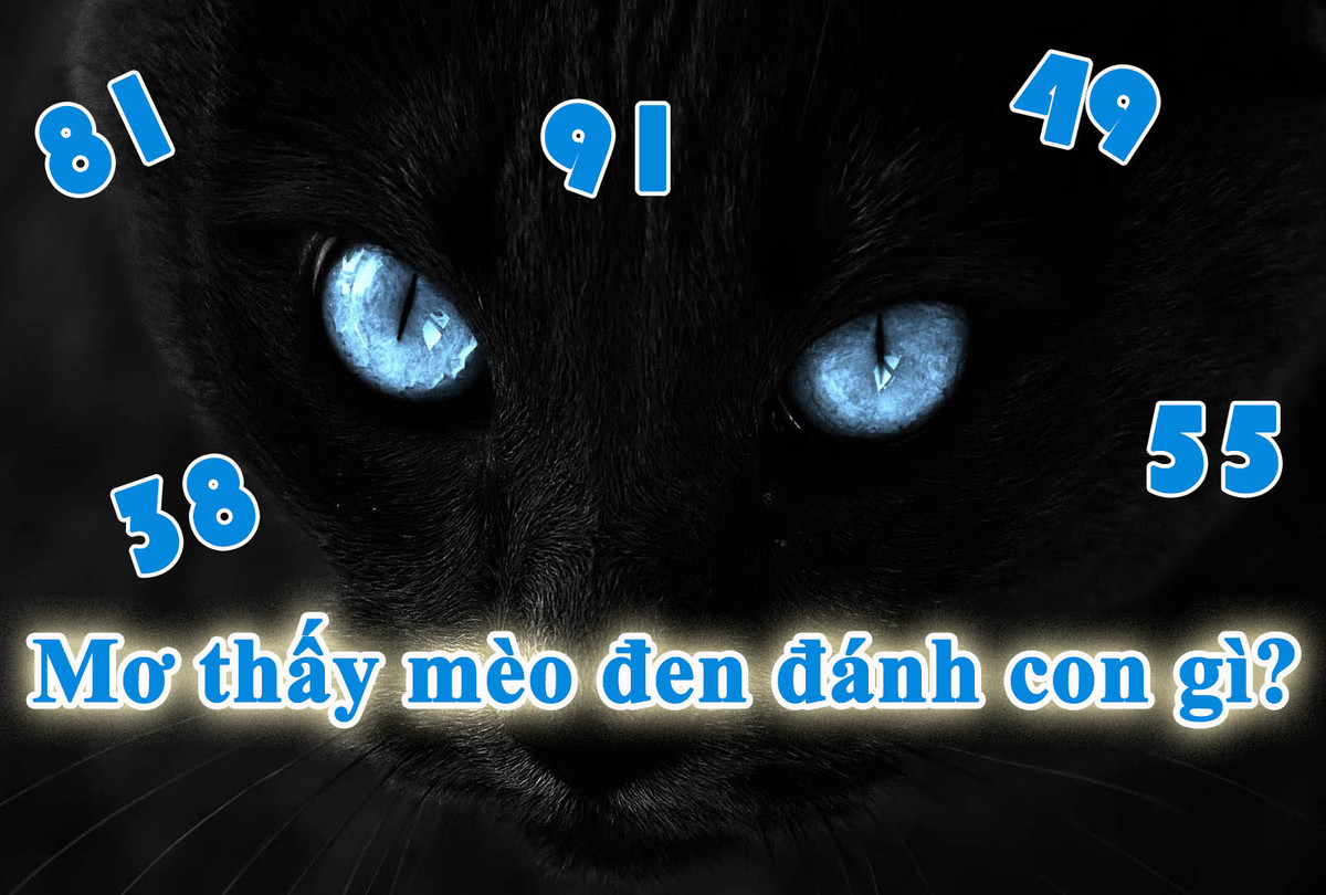 mơ thấy mèo đánh con gì