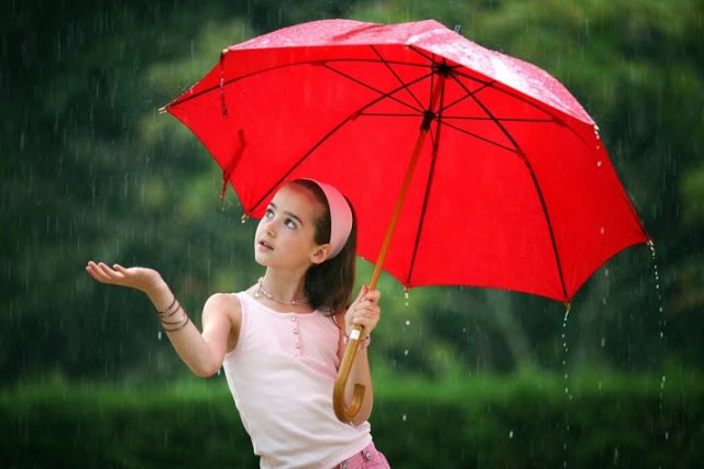 mơ thấy cầm ô đánh con gì