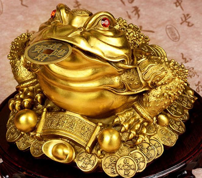 Hình ảnh cóc vàng vào nhà