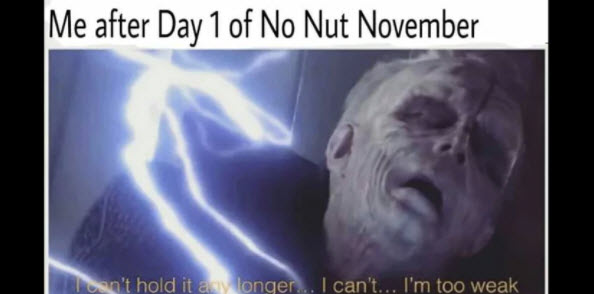 phổ biến no nut november